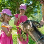 baby- und kinderfreundlich